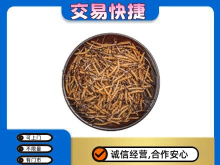 宁波市北仑回收散虫草