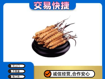 宁波市北仑礼品回收散虫草.jpg
